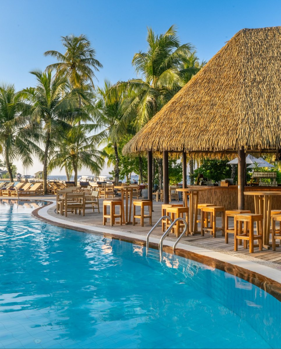 Kuredu Island Resort & Spa tweet media