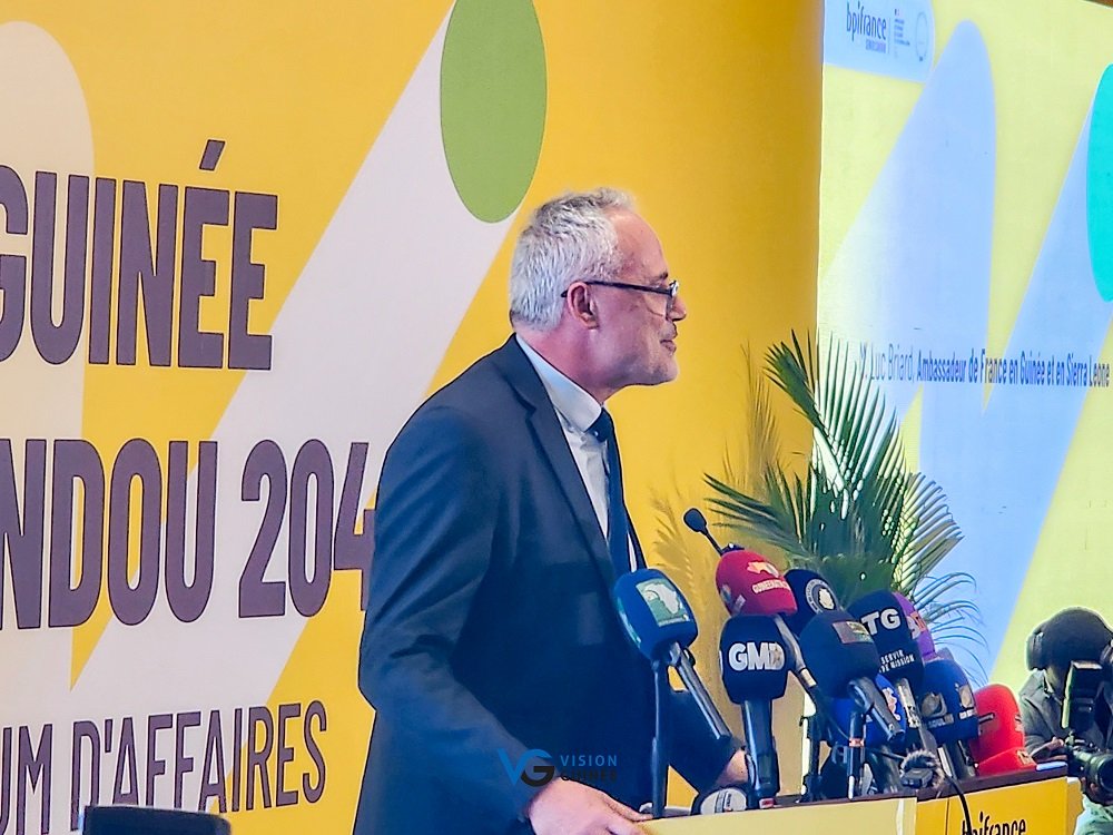 VisionGuinee's tweet image. Le forum d’affaires Guinée-France s’ouvre à Conakry : ‘’Si vous attirez autant d’investisseurs, c’est parce que la marque Guinée s’imprime en Afrique et au-delà’’ visionguinee.info/le-forum-daffa… #Kibaro #BusinessSuccess