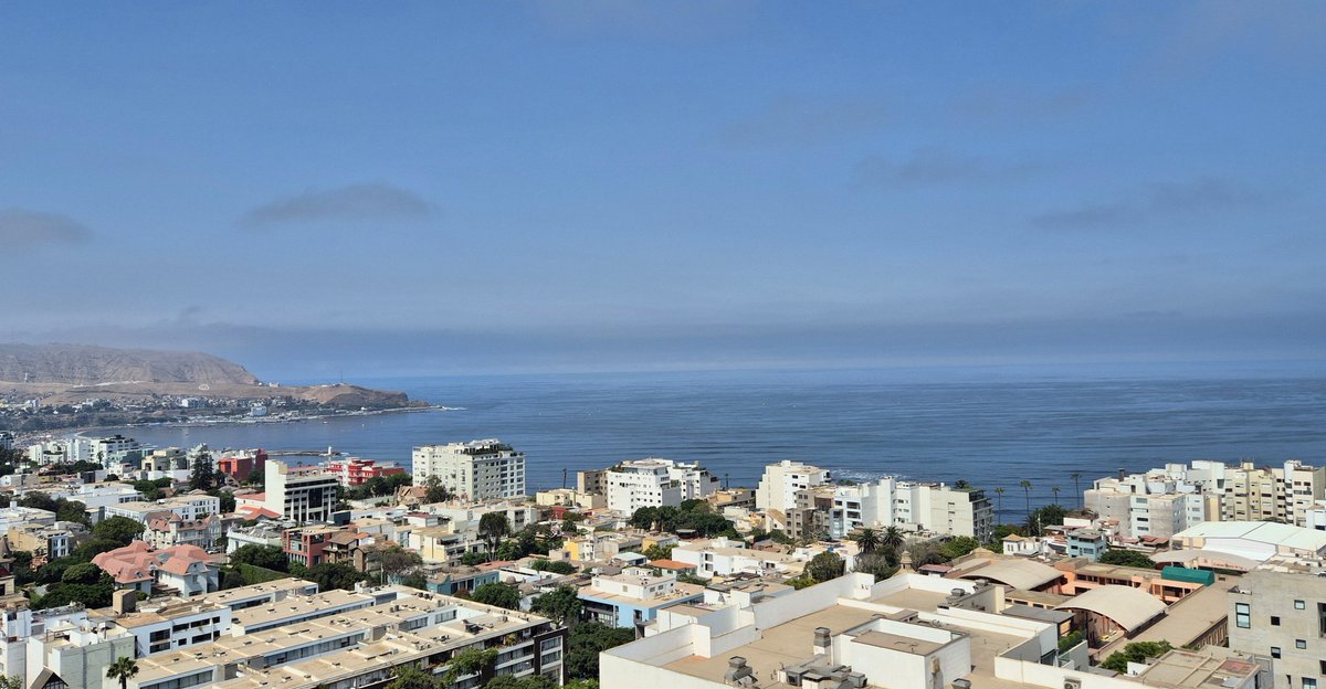 Tom 🦘 tweet media