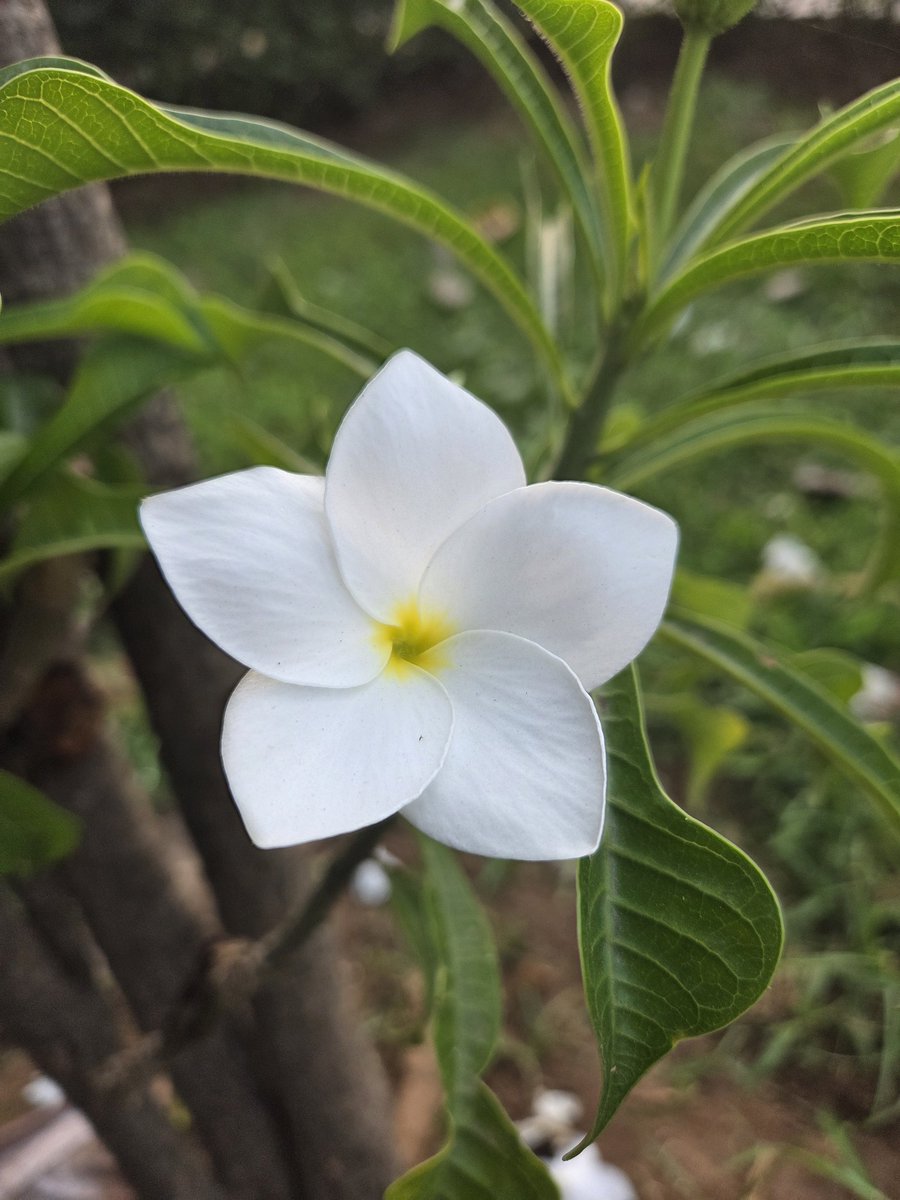 May Be I tweet media