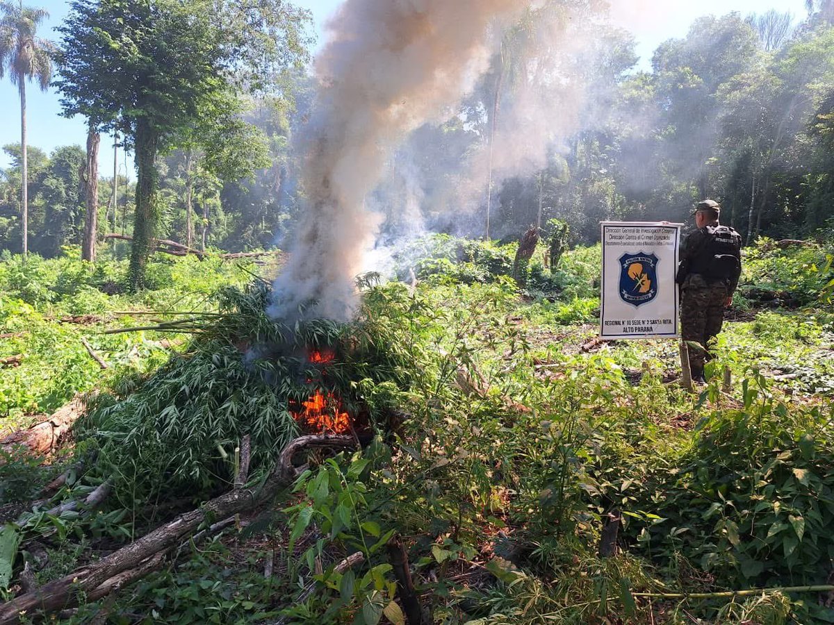 TN Press Digital tweet media