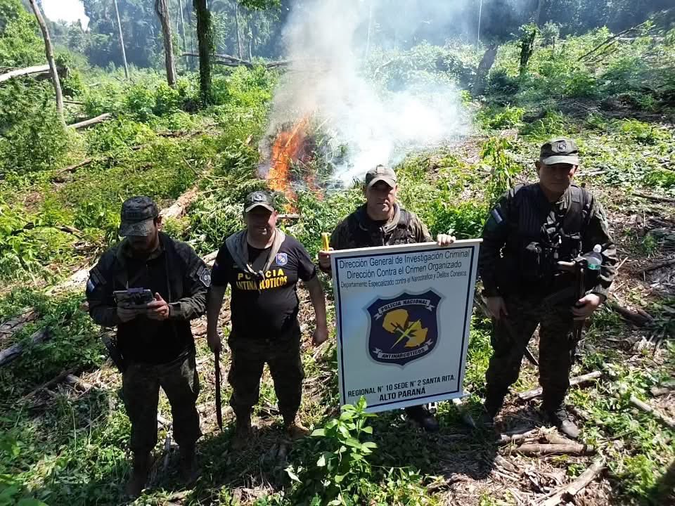 TN Press Digital tweet media