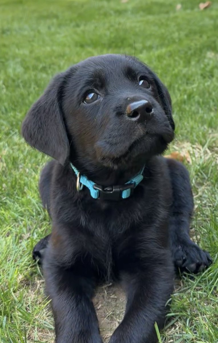 Steve Cole ⭕️🙌🏼 tweet media