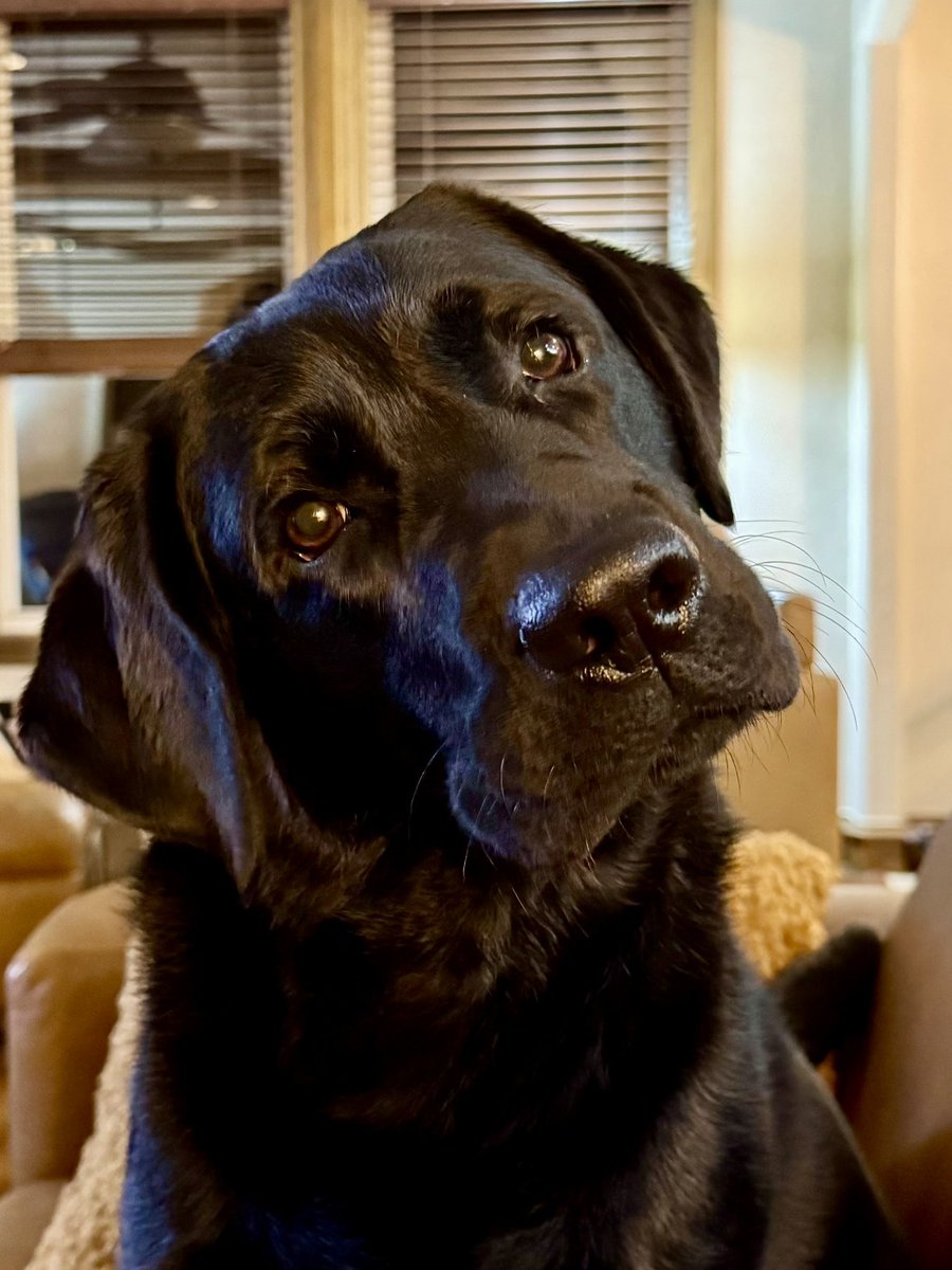 Steve Cole ⭕️🙌🏼 tweet media