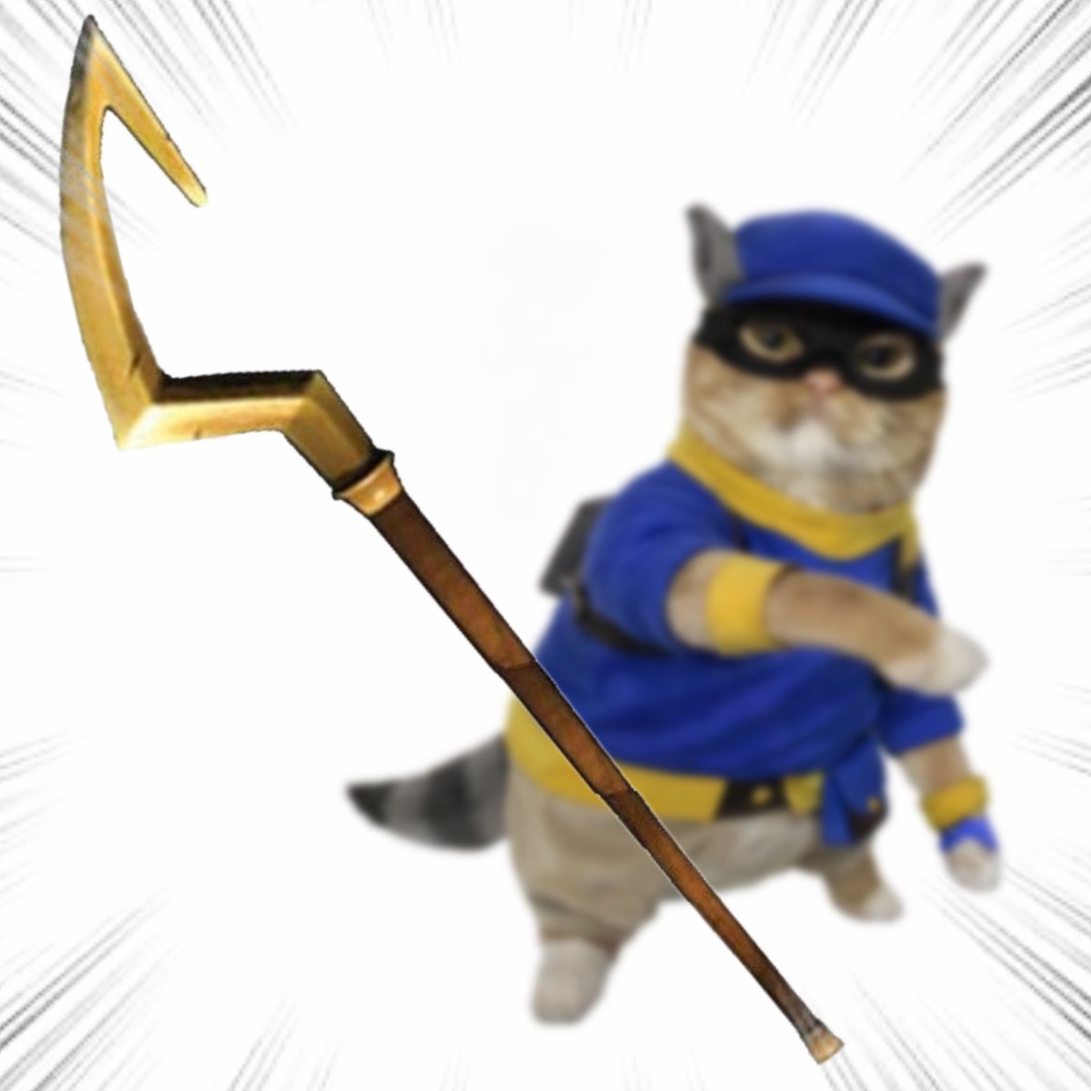 Throwing Things Daily tweet media