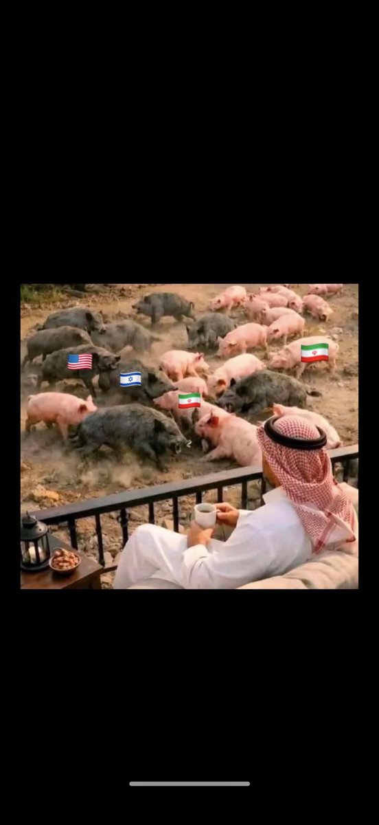 عبدالرحمن tweet media