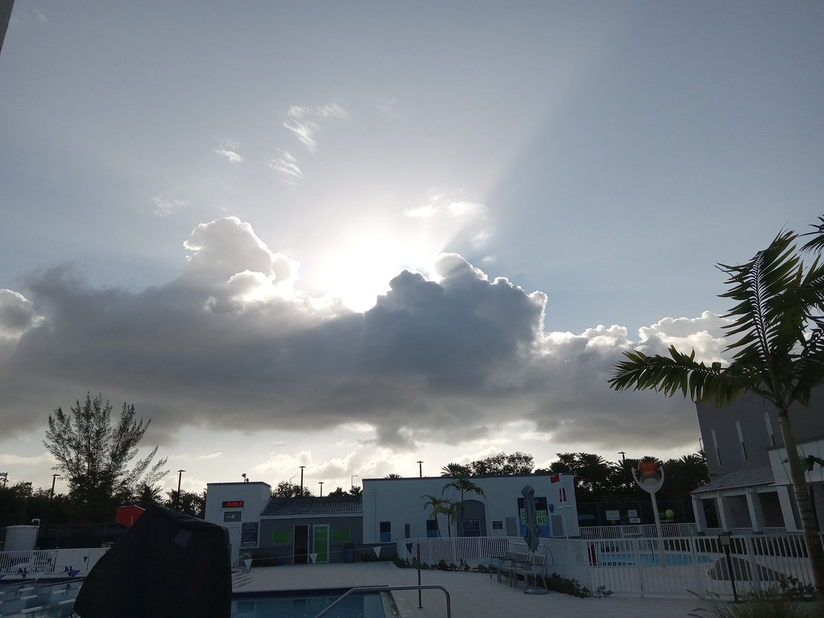 D. Trassens tweet media