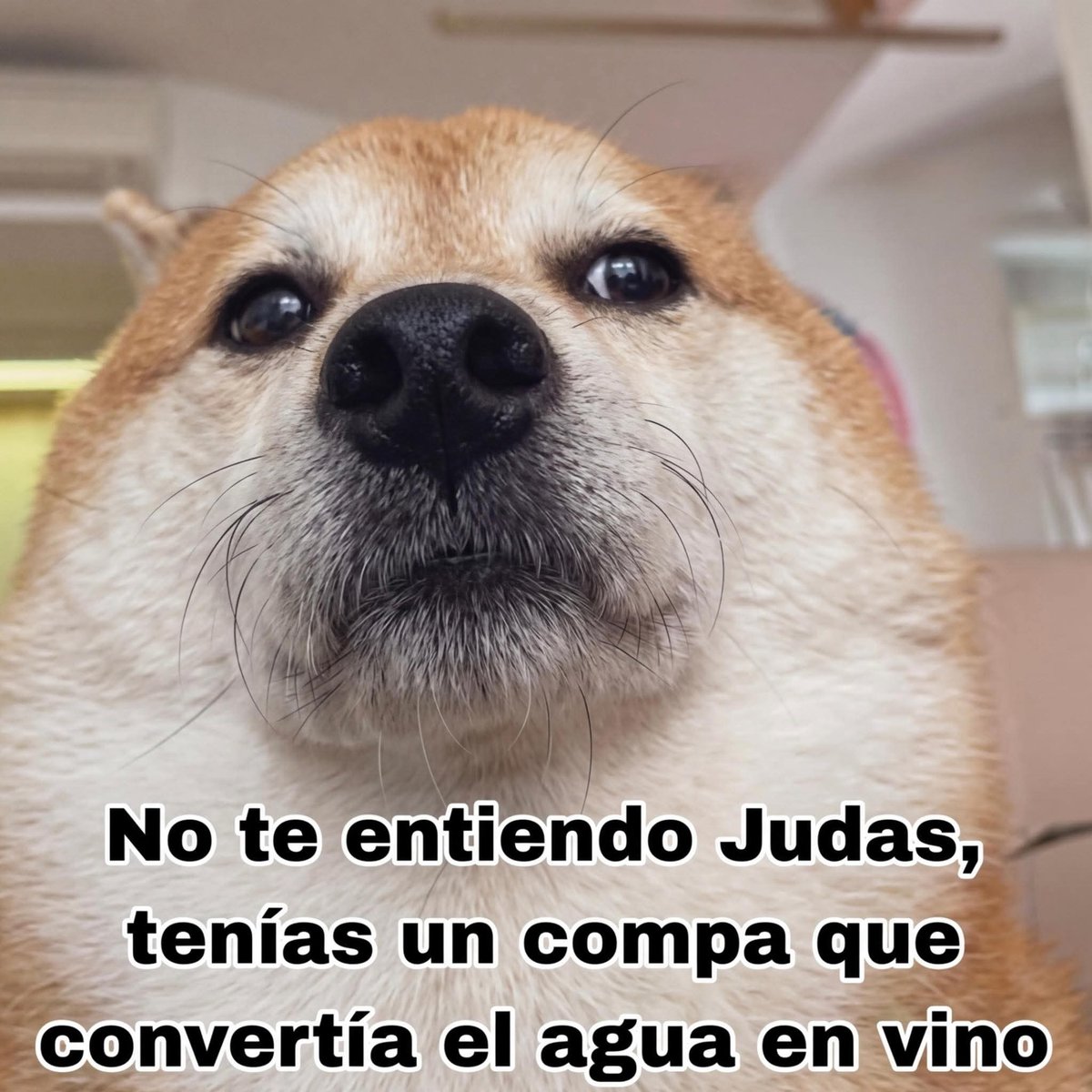 Nancy Sanz tweet media