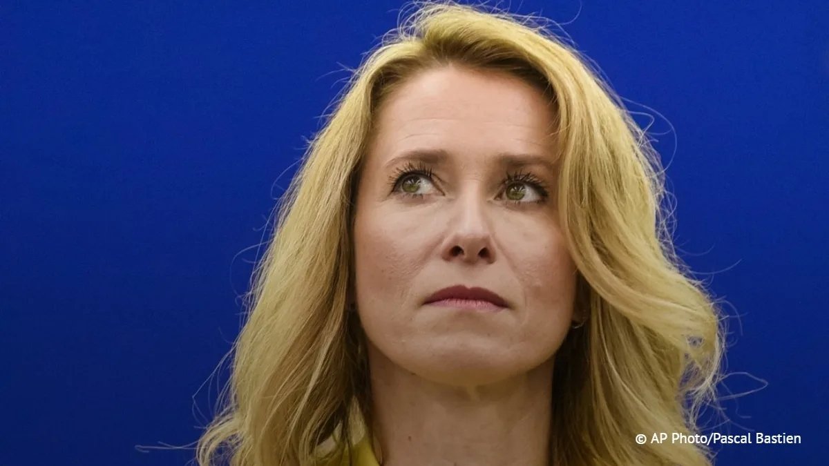 Алиса++ tweet media