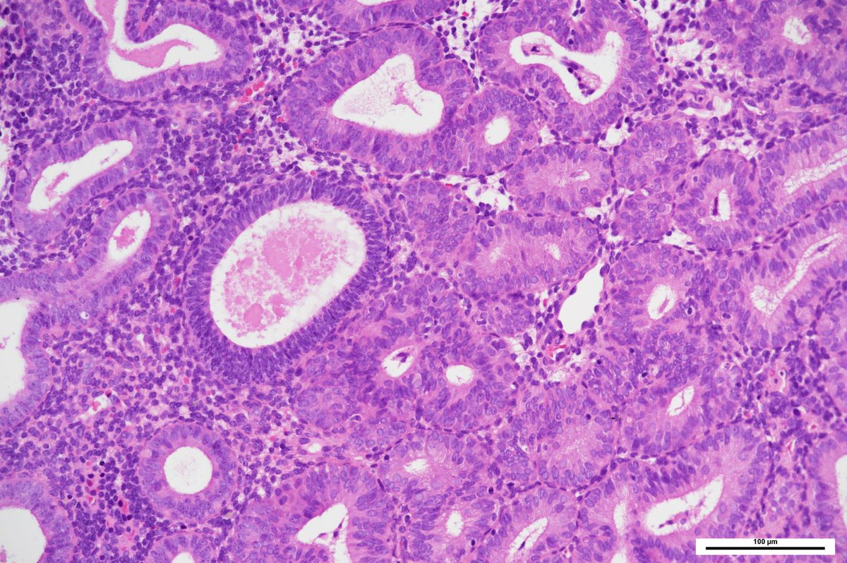 Charlie Herndon tweet media