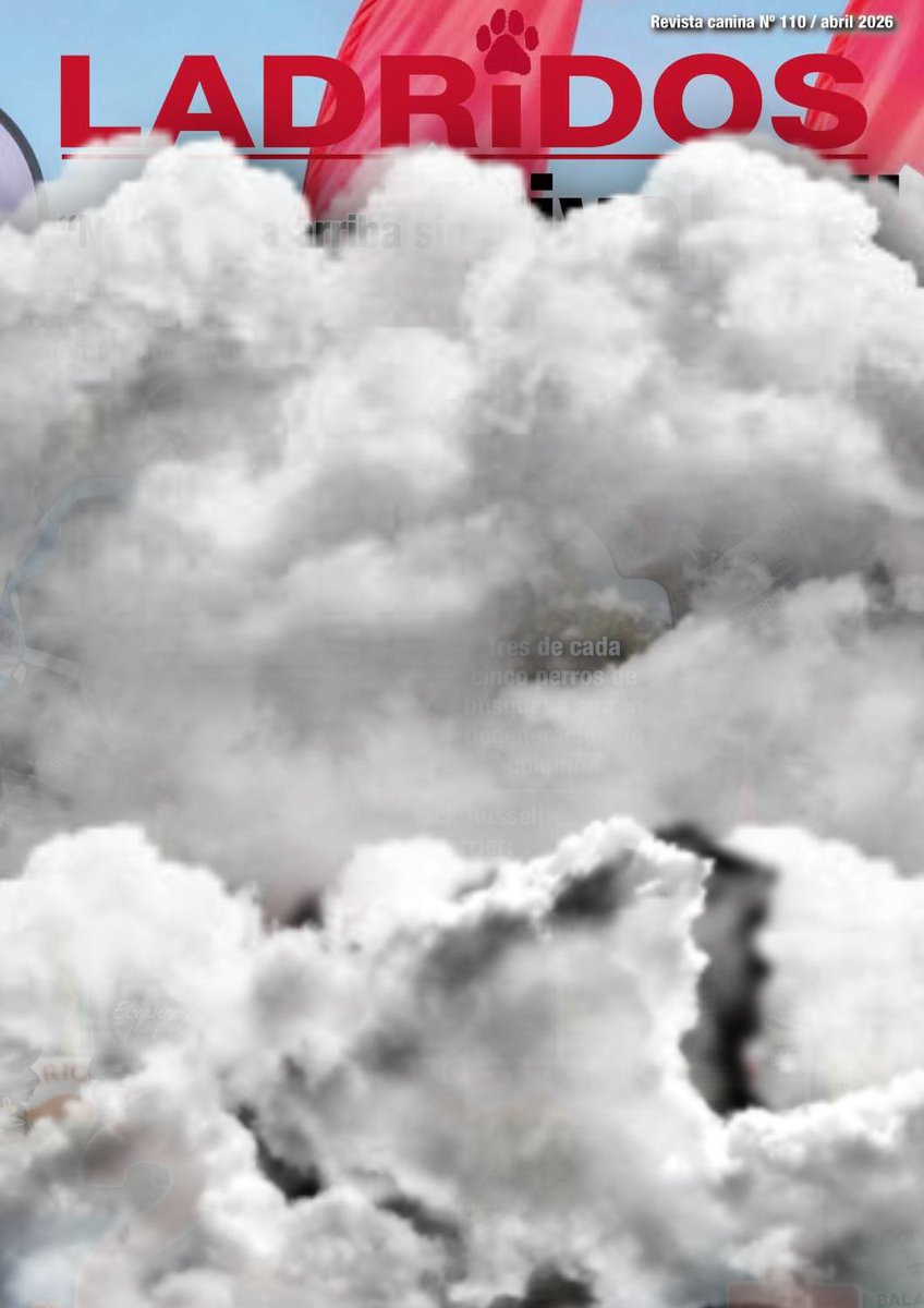 Ladridos Revista tweet media