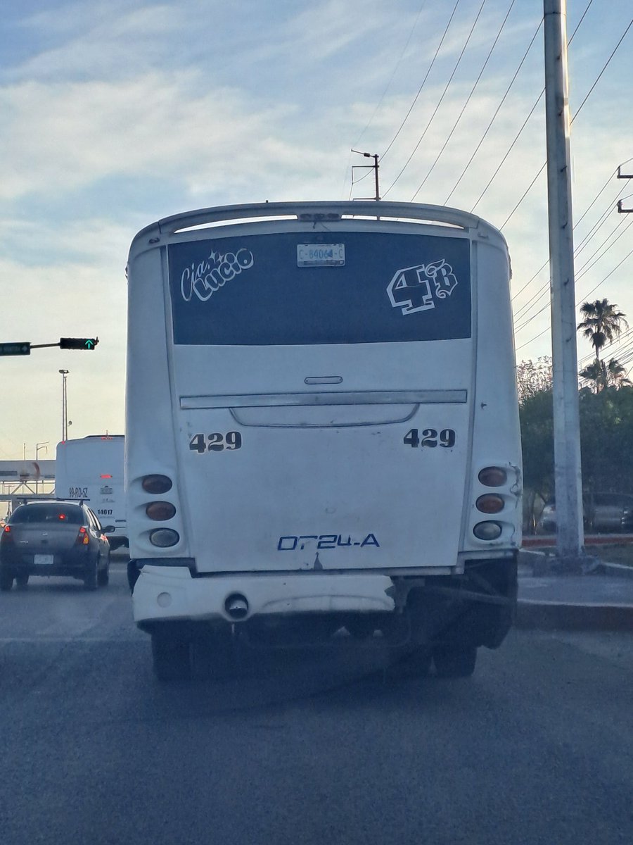 CIC Saltillo tweet media