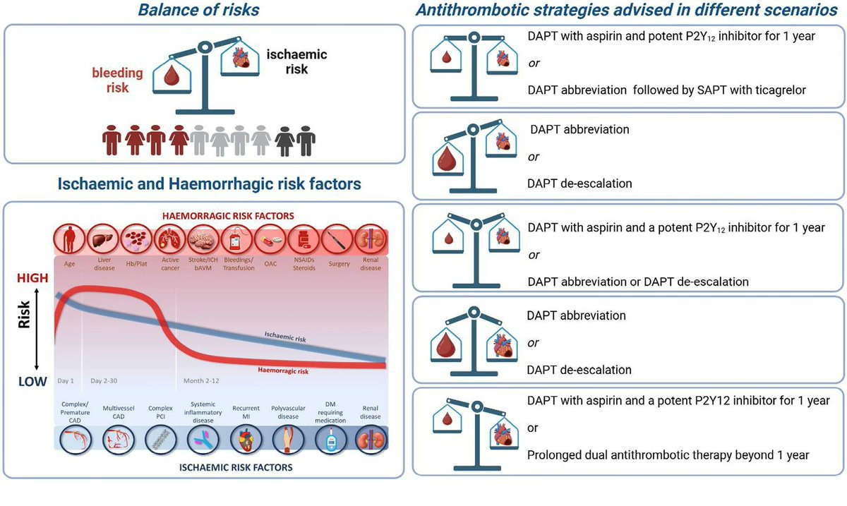 DFCapodanno's tweet photo. This consensus document from the ESC Working Group on Thrombosis provides practical advice regarding best practice for personalizing DAPT in patients with ACS undergoing PCI. https://t.co/TfGYQPEfkT https://t.co/M74HYXoLG9