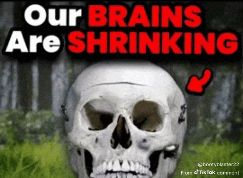 Personhood McBeing tweet media