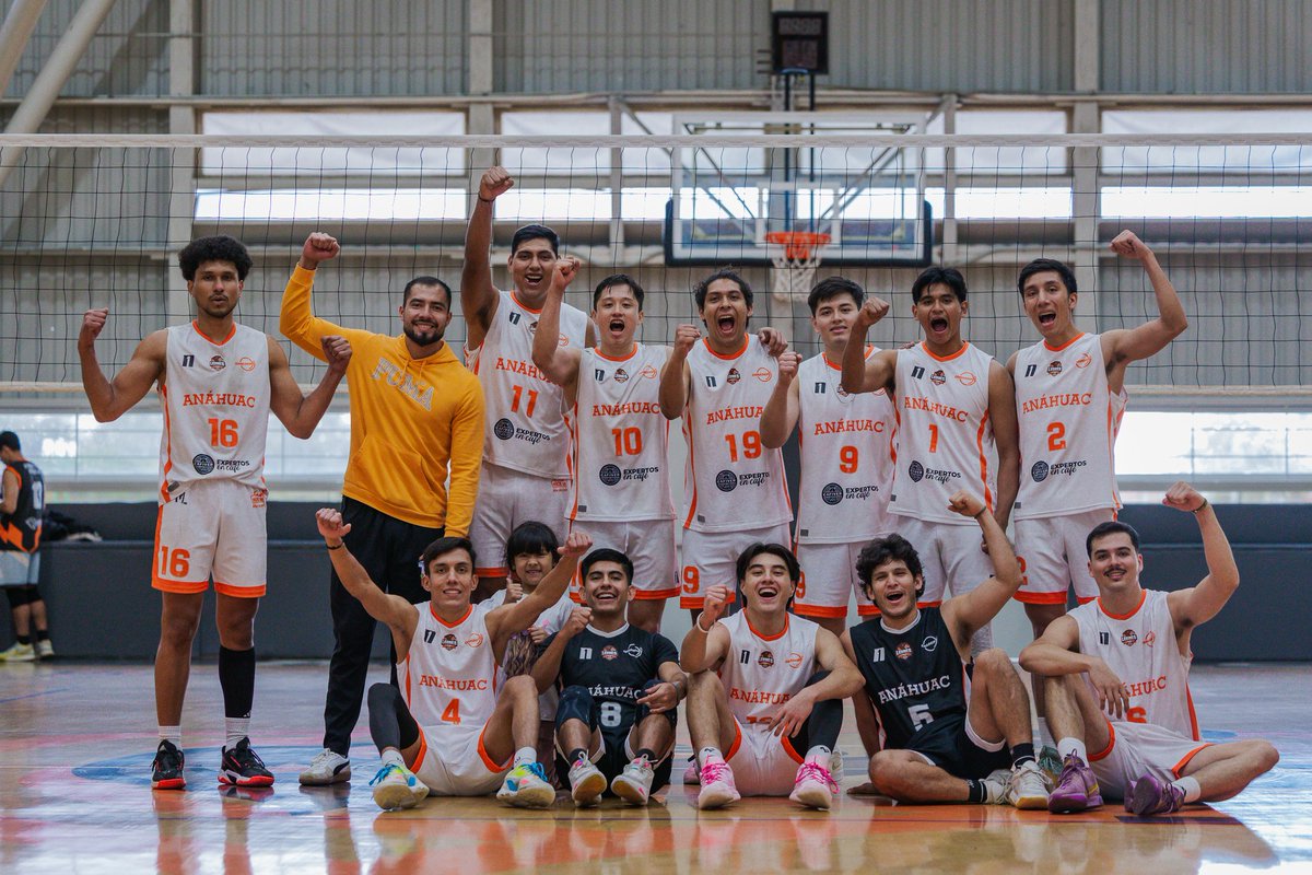 paracomentarse tweet media