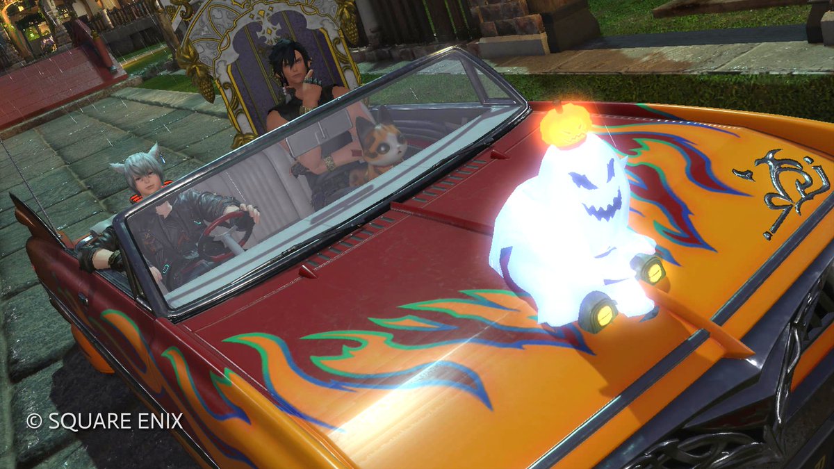 たねまる😺(たね＊Gaia🌱Tiamat) tweet media