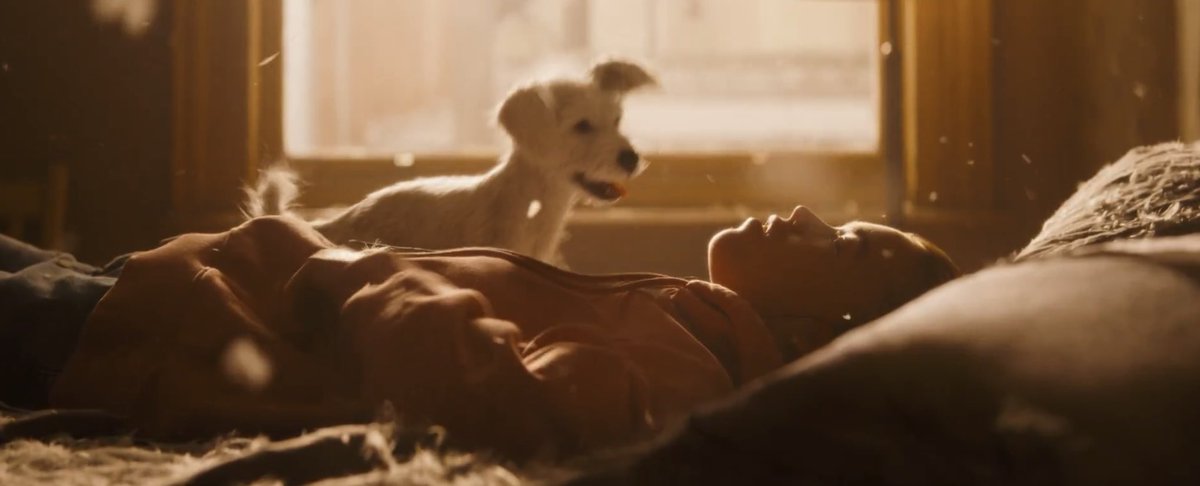 Sarah | fan account tweet media