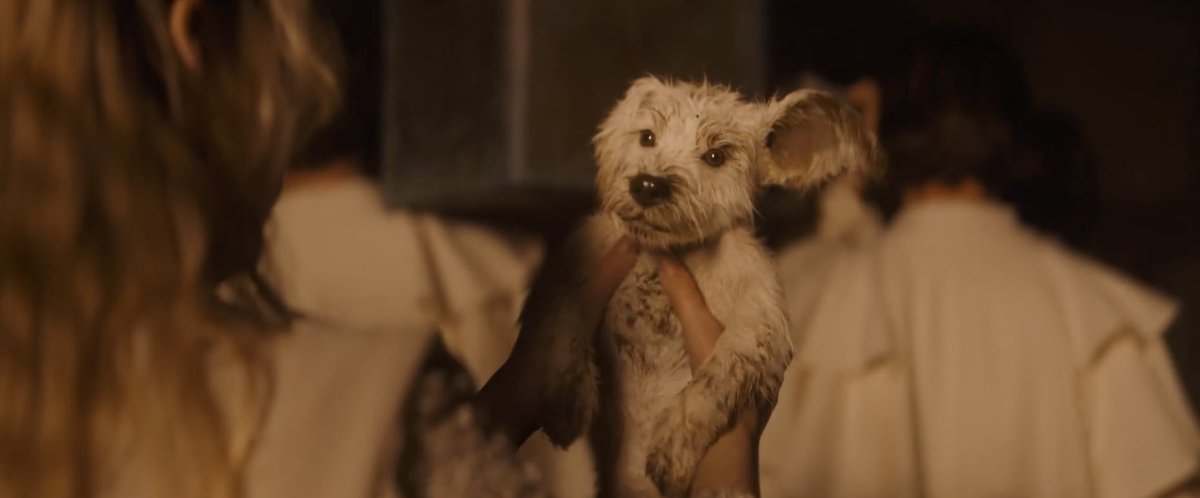 Sarah | fan account tweet media