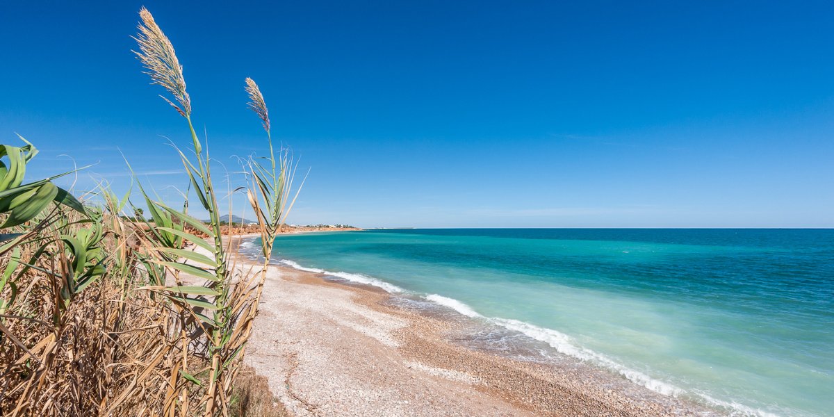 Region of Valencia tweet media