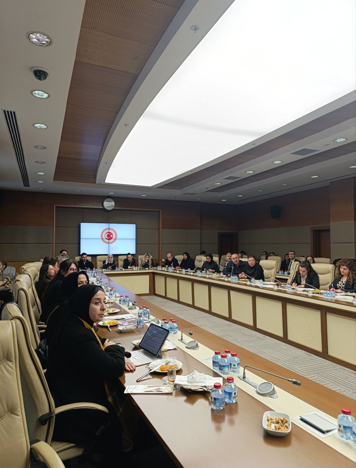 Elif Esen tweet media