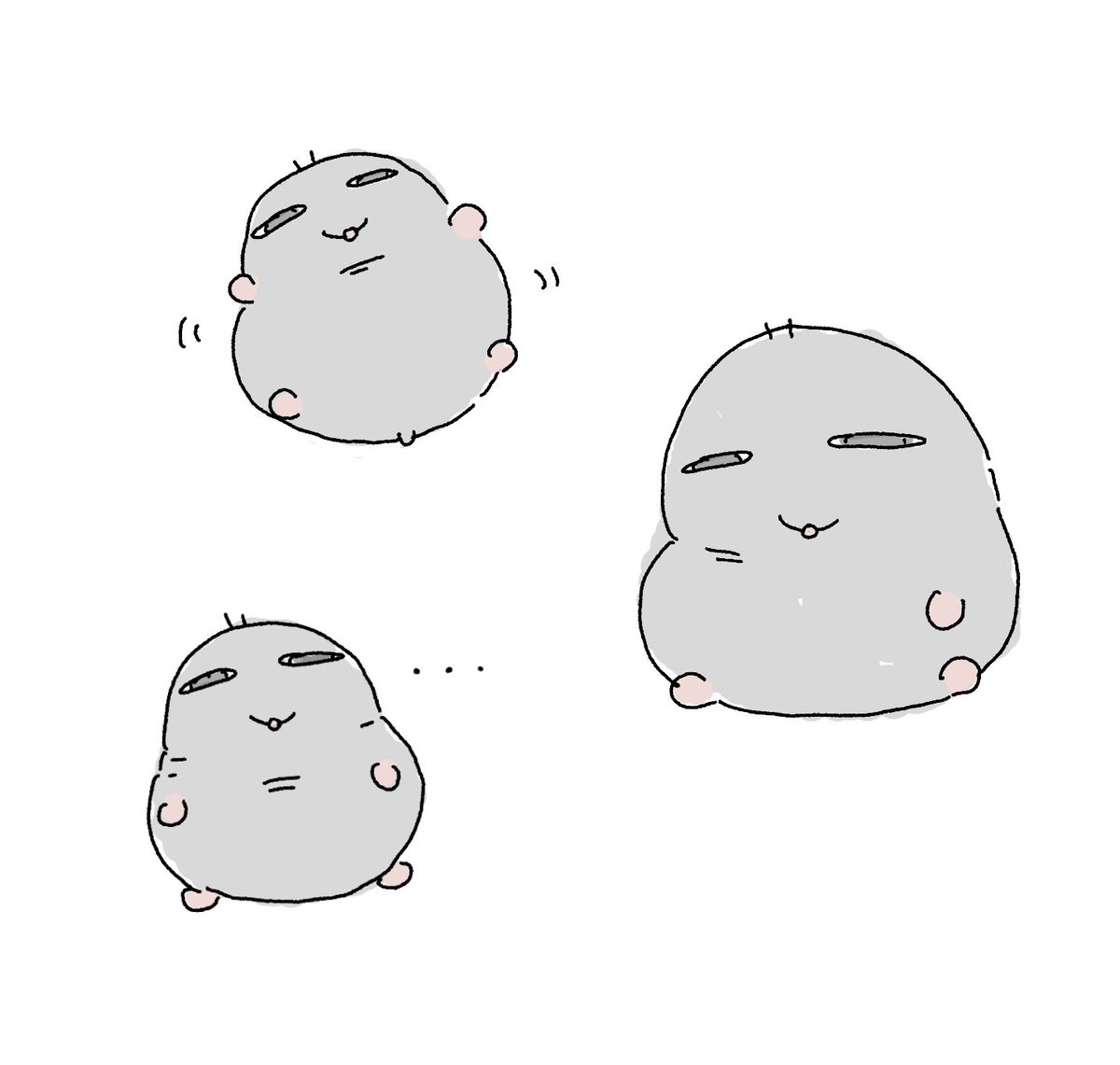 도도지 tweet media