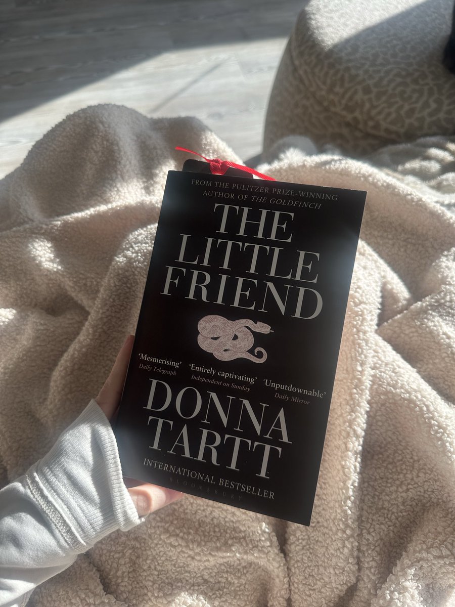 caitlin🐮 tweet media