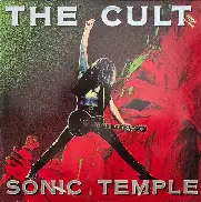 Steve Drummed tweet media