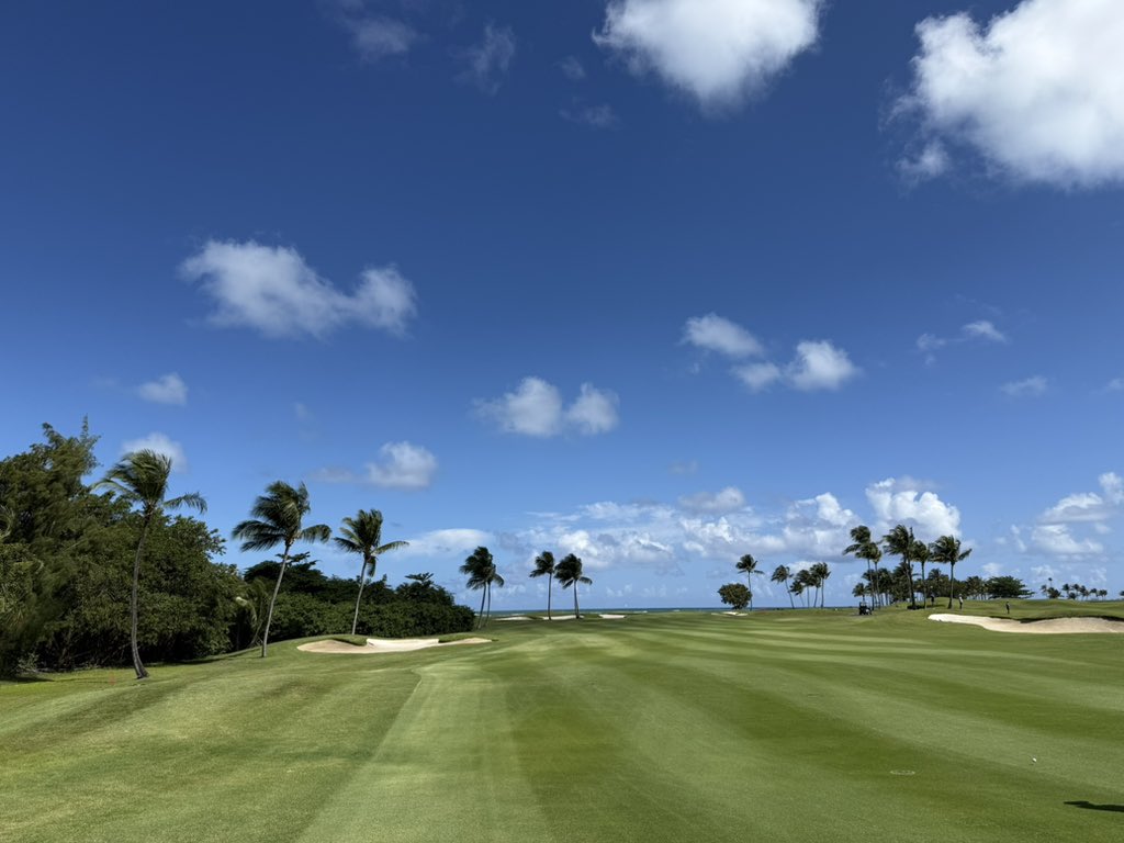 Christian Flanders tweet media