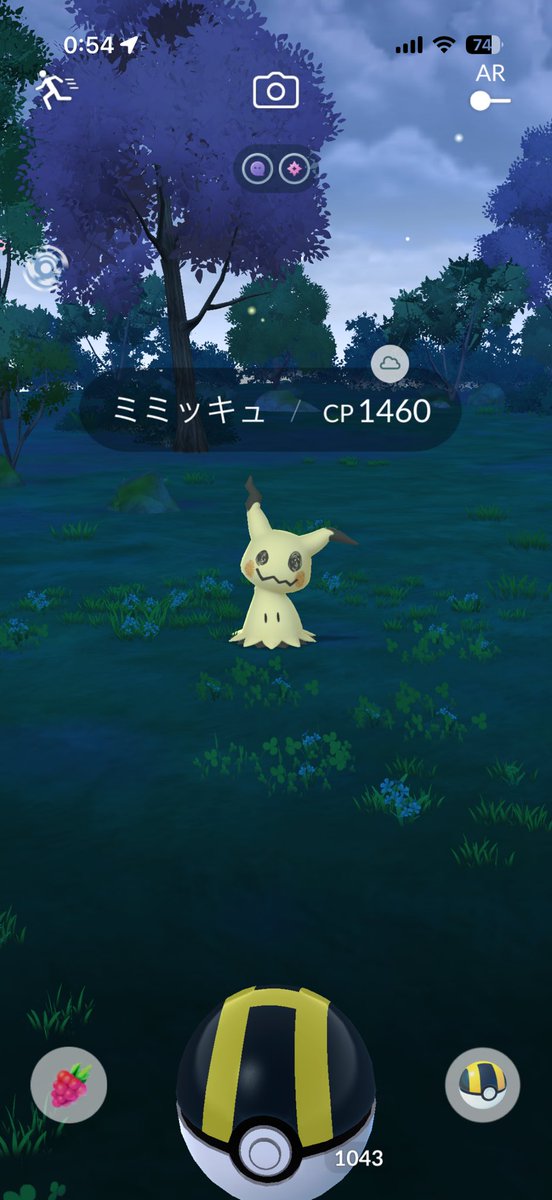 CAPE-KUN／ケープ君 tweet media