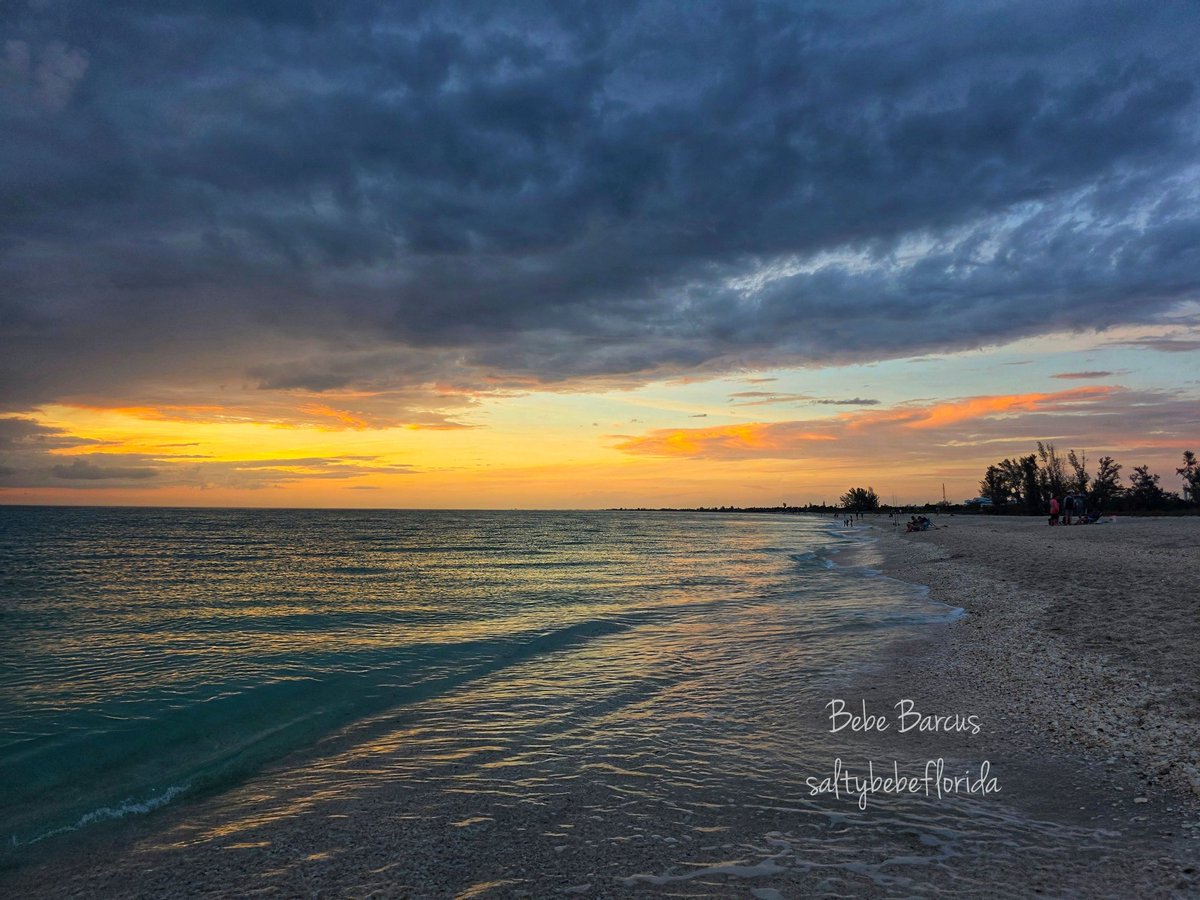 Bebe Barcus tweet media