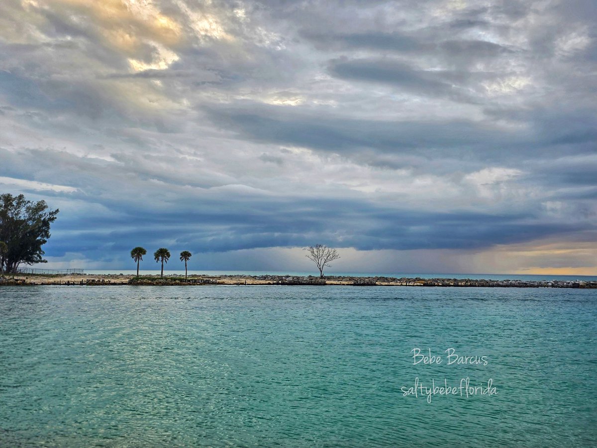 Bebe Barcus tweet media