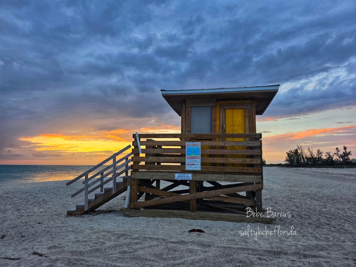 Bebe Barcus tweet media