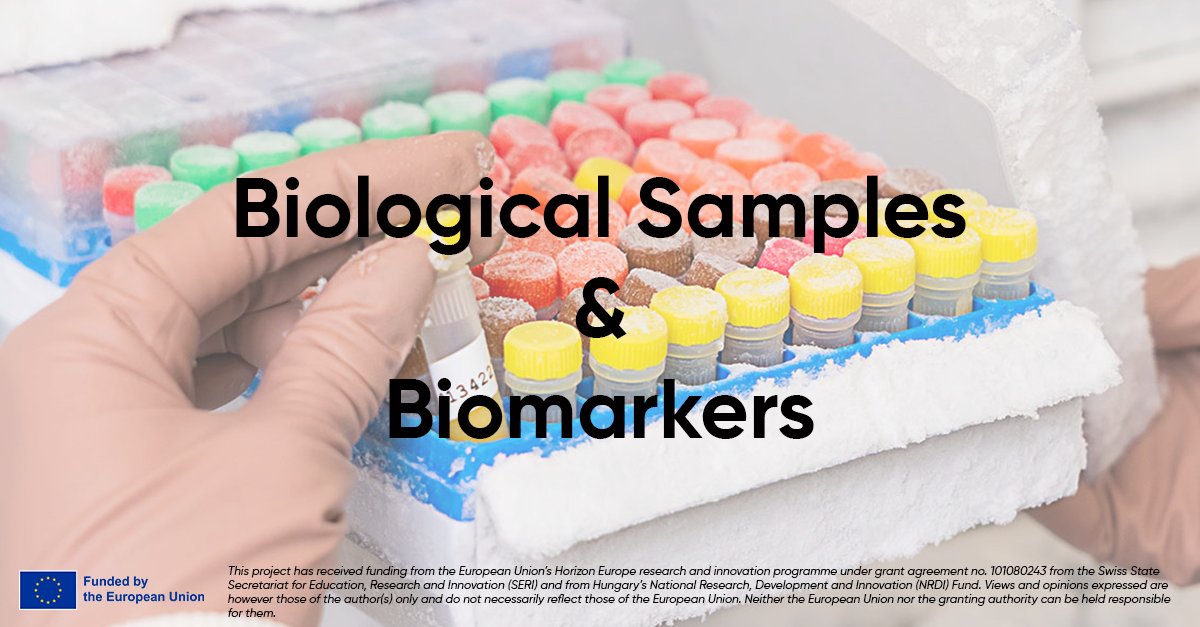 STRATA-FIT tweet media