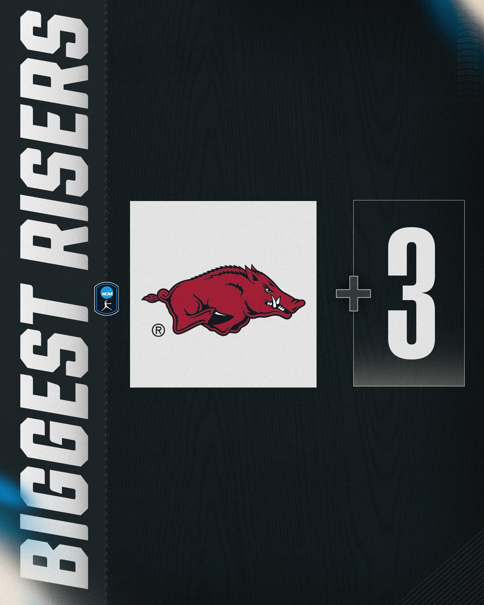 NCAA Softball tweet media