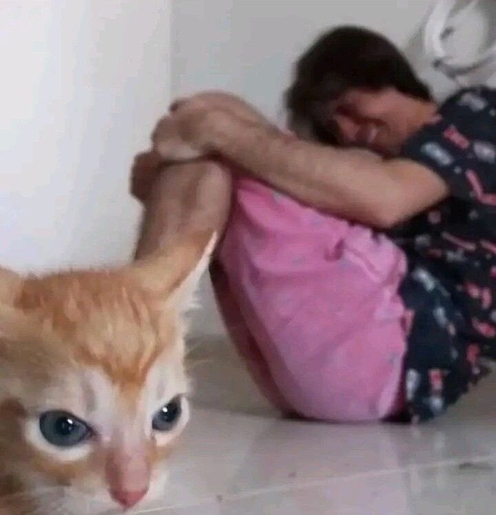 vera ⚢ tweet media