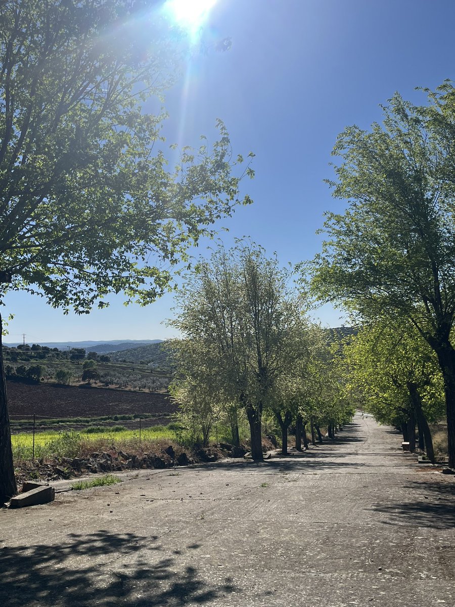 Cinefilia Cult tweet media