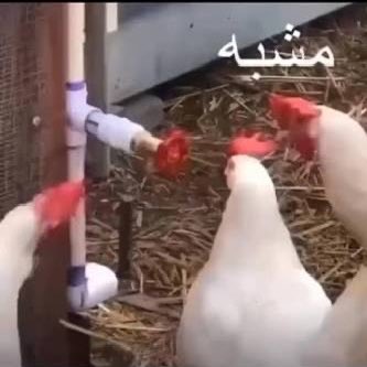 Ahmed | أحمد tweet media