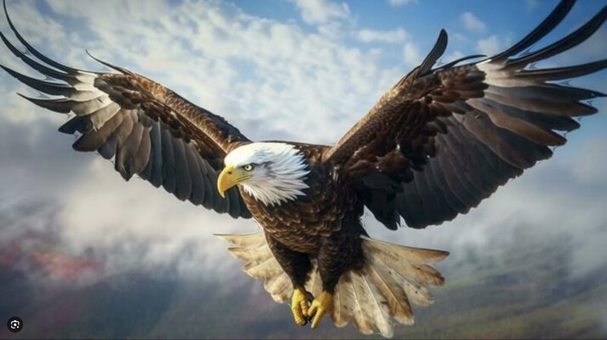 Joe Gibson tweet media