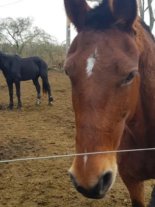 Jack ♦️ 🌳 #002 tweet media