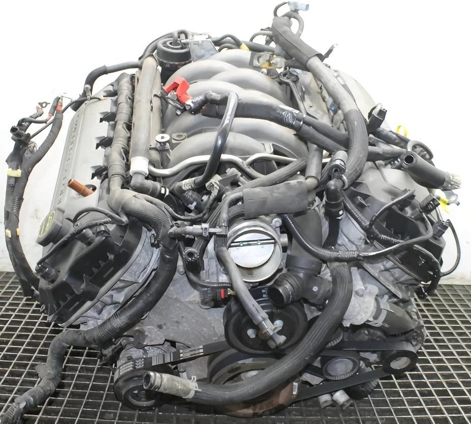 RobotPete of Selwyn! tweet media