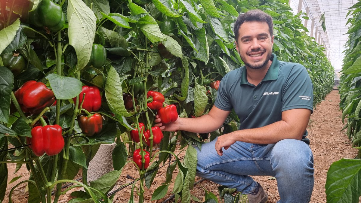 FHALMERIA's tweet image. 📊@HMCLAUSEIBERICA crece en cultivos clave como el #pimiento 🫑 de la mano de los productores

🆕👉fhalmeria.com/noticia-37743-…