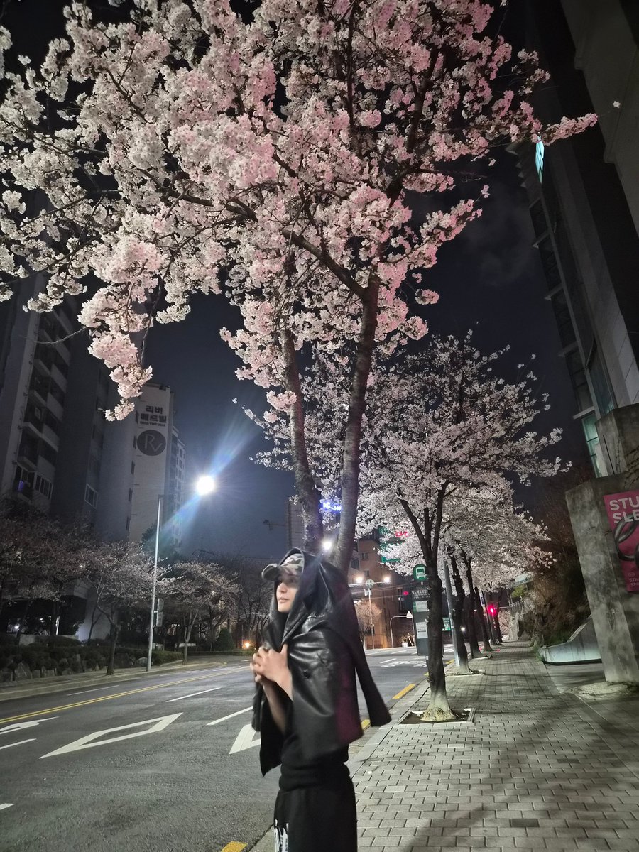 zb1 updates🌱 tweet media