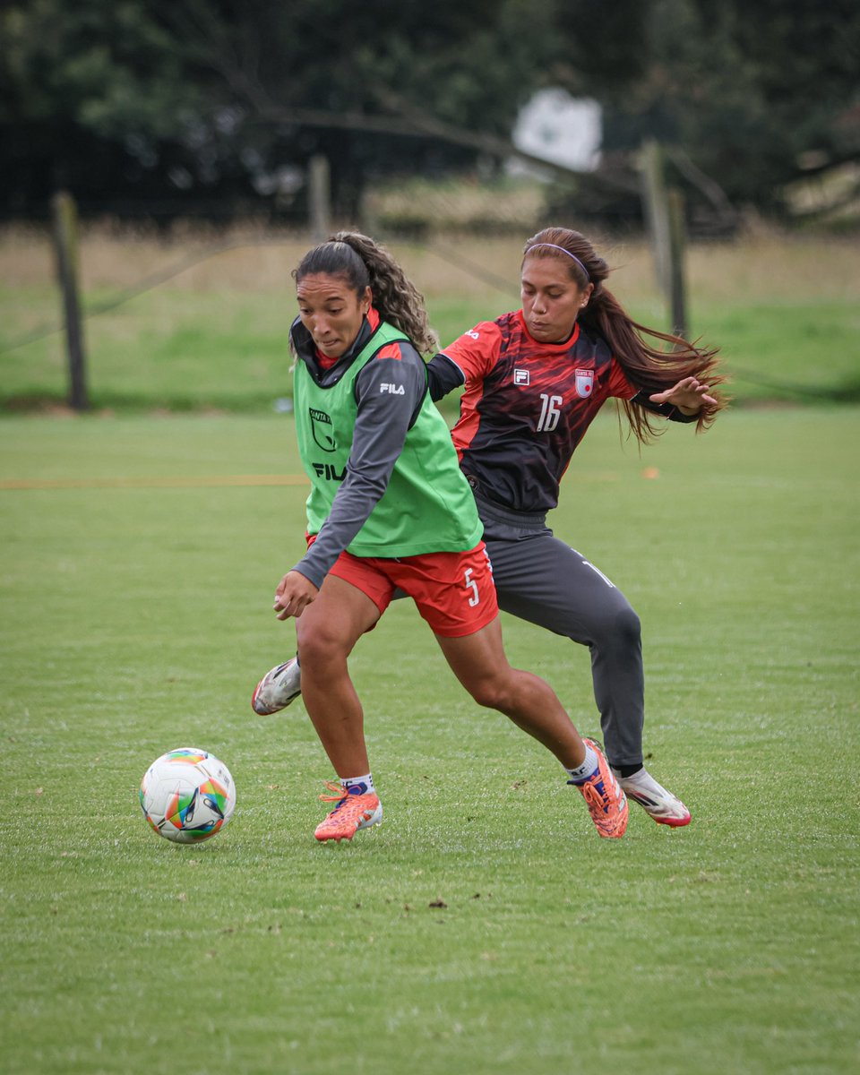 Santa Fe Femenino tweet media