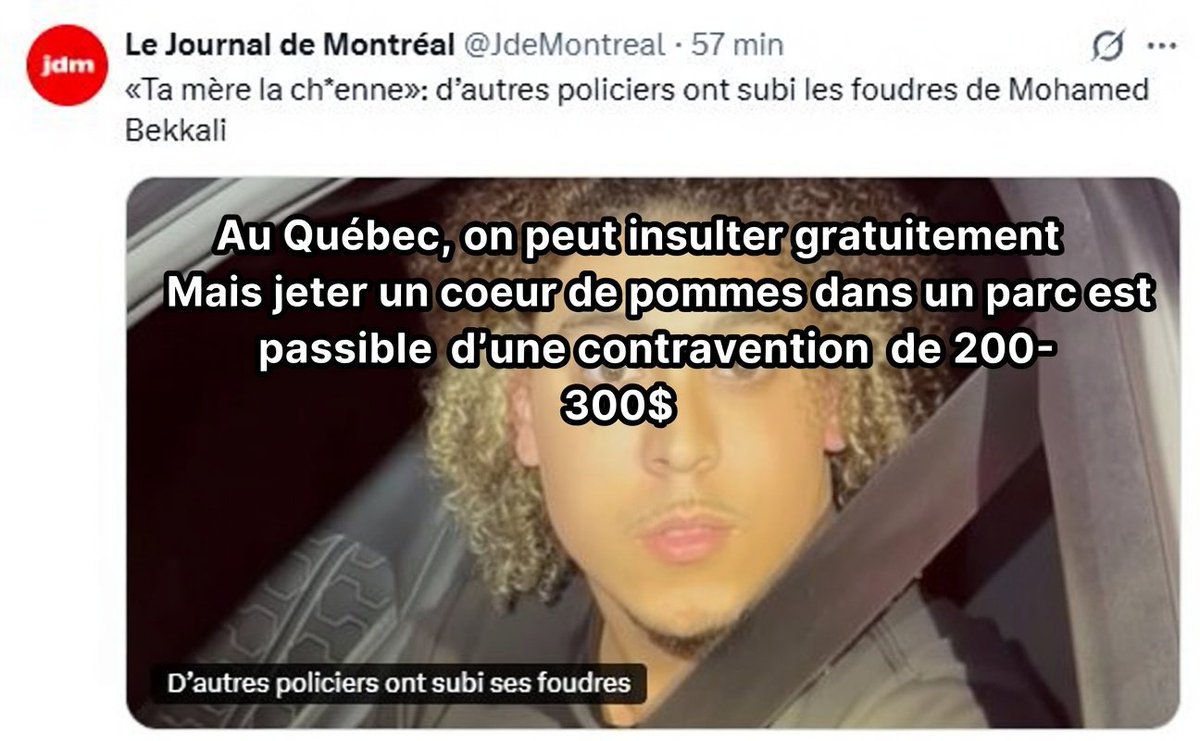 Lorsqu'une société trouve plus important de chercher les délinquants qui jettent leur pomme compostable que mettre les vrais délinquants derrière les barreaux. 🧐