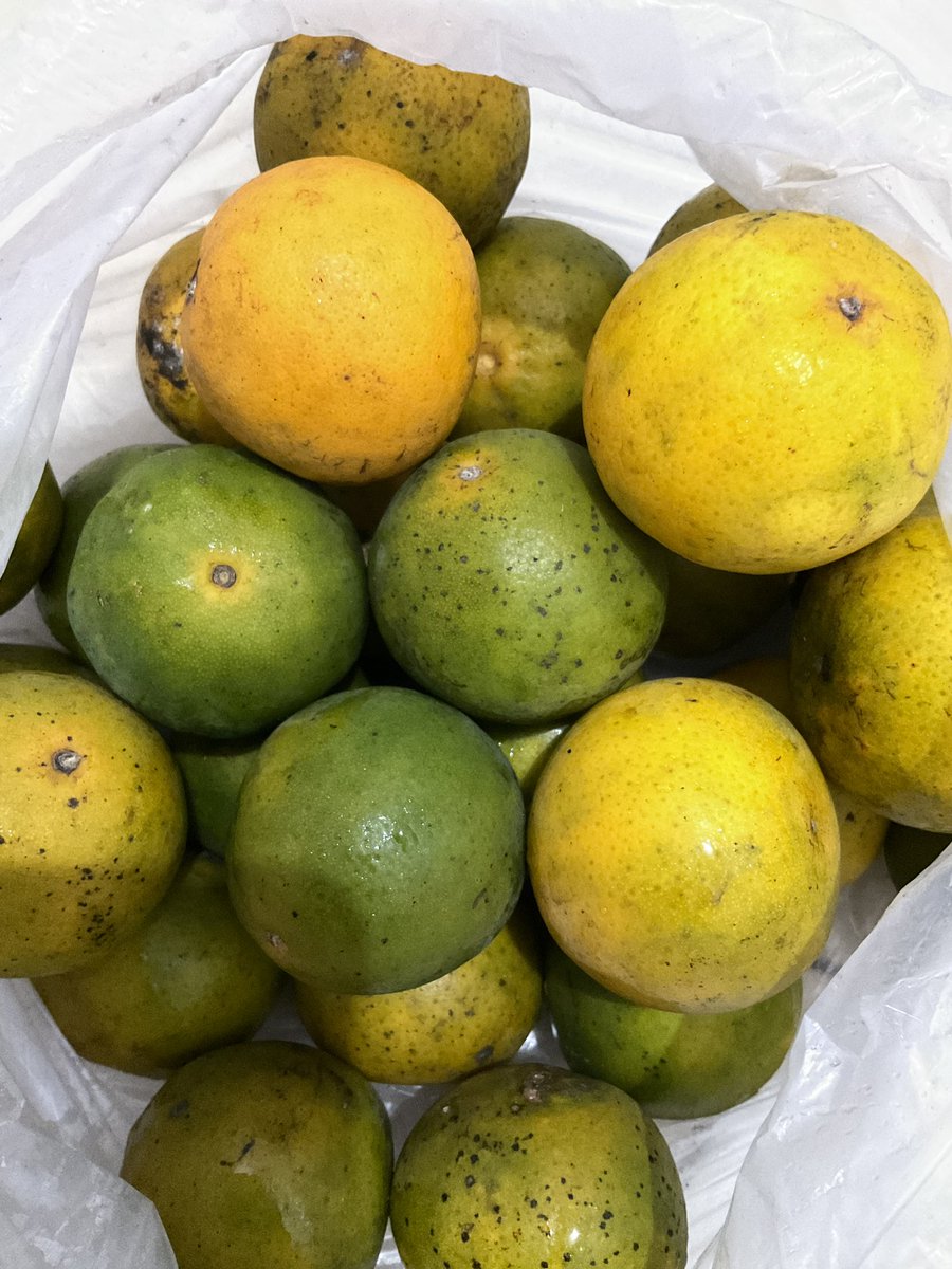 ׅ🐧 ׄSya ֶָ tweet media