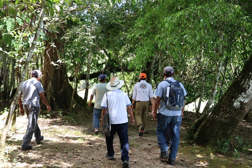 Secretaría de Protección Civil de Chiapas tweet media