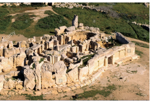 Jennifer Warters tweet media