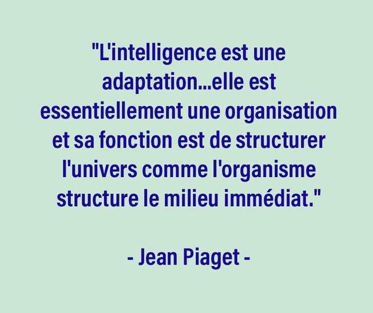 Chantal M. tweet media