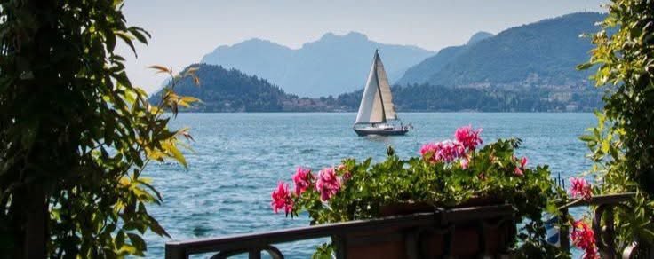 ѕнυנα υ∂ ∂ιη 🐦 tweet media