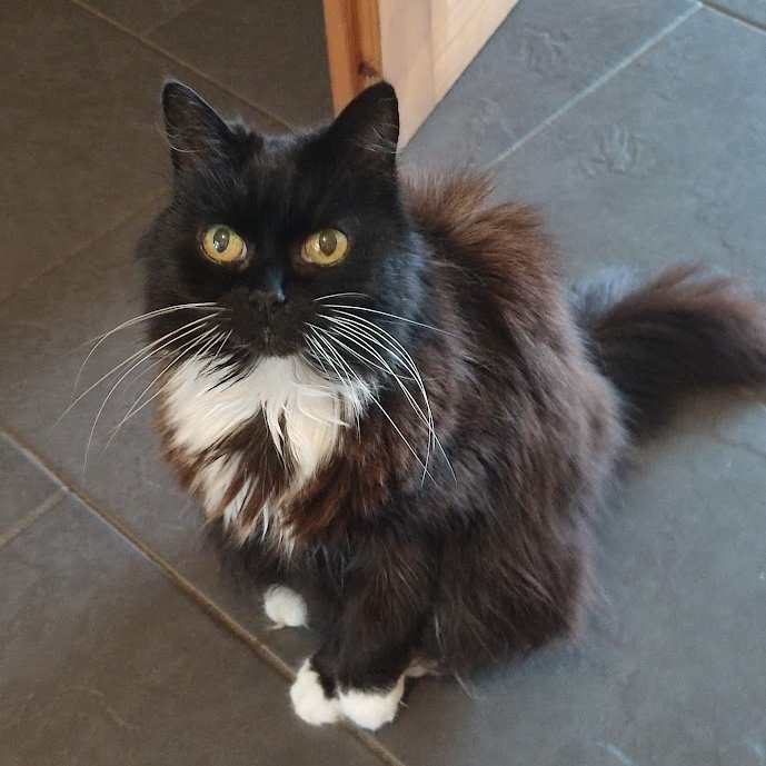 ana 👁️👁️ tweet media